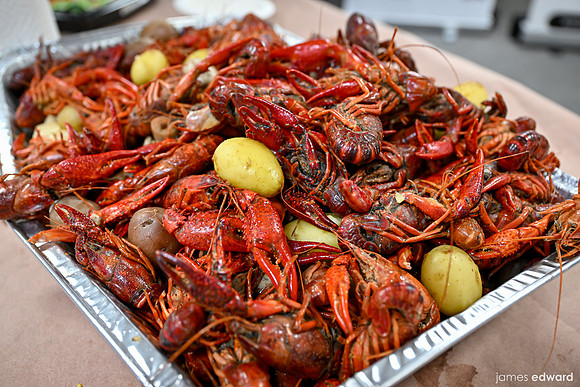 jez9 -94200